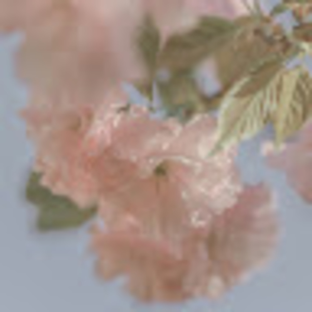 Meet your Posher, Han